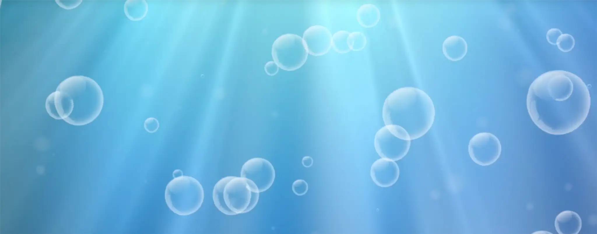 Little Turtle Swim Company