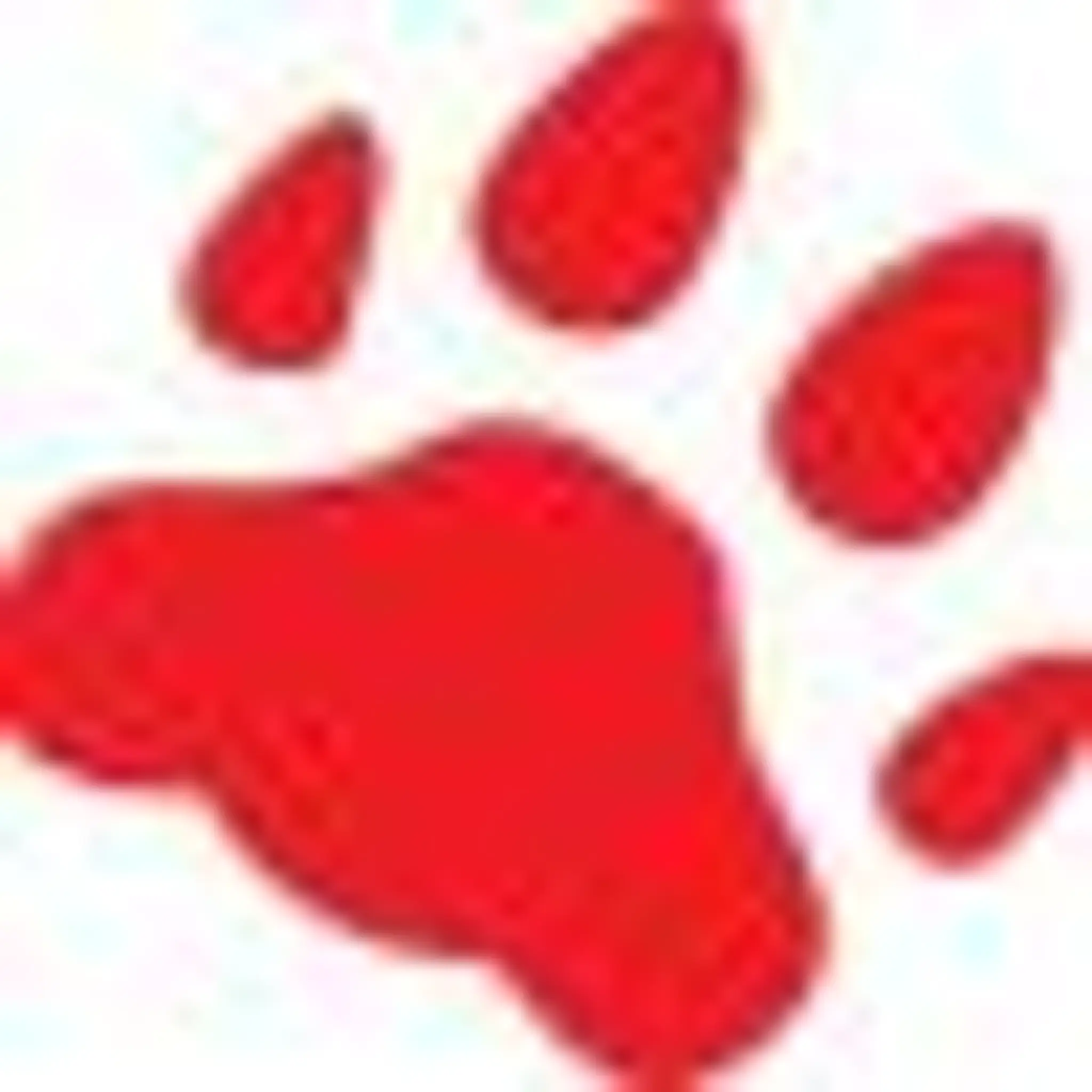 CORNWALL WILDCATS FOOTBALL CLUB