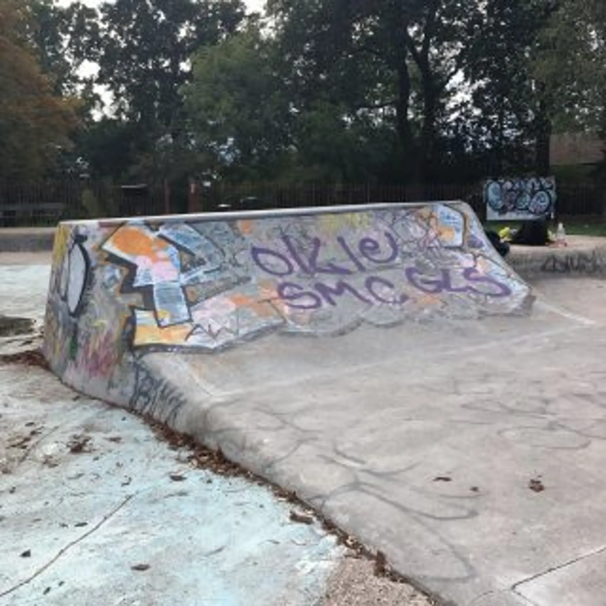 Bloblands Concrete Skatepark