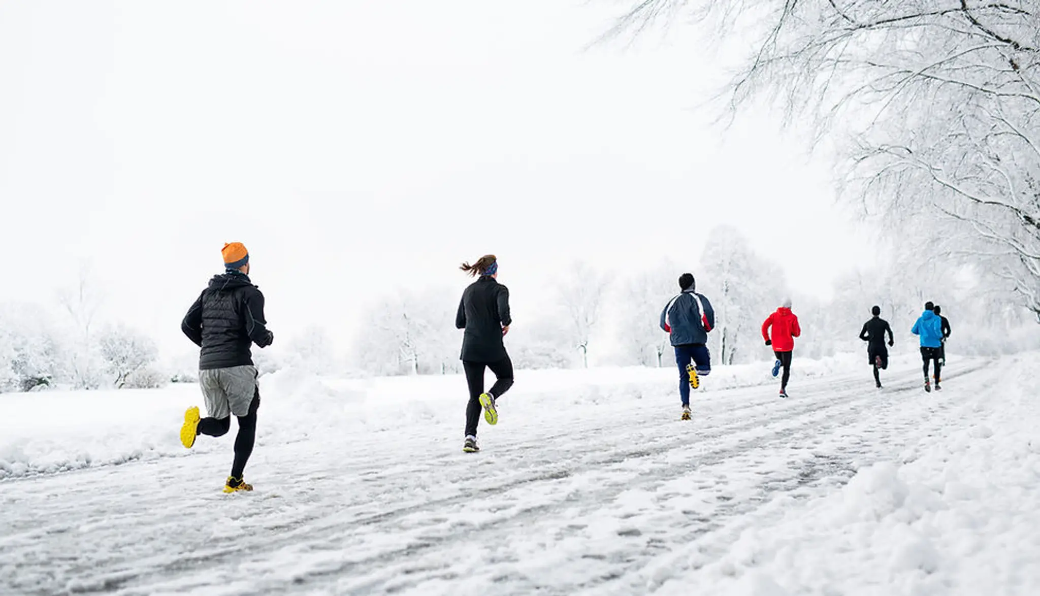 Base Physio + Wellness