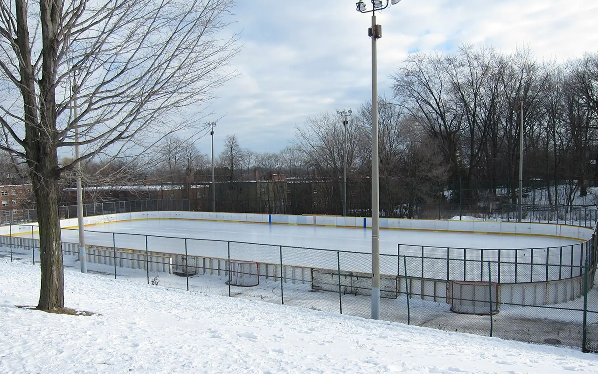Humber Valley Rink