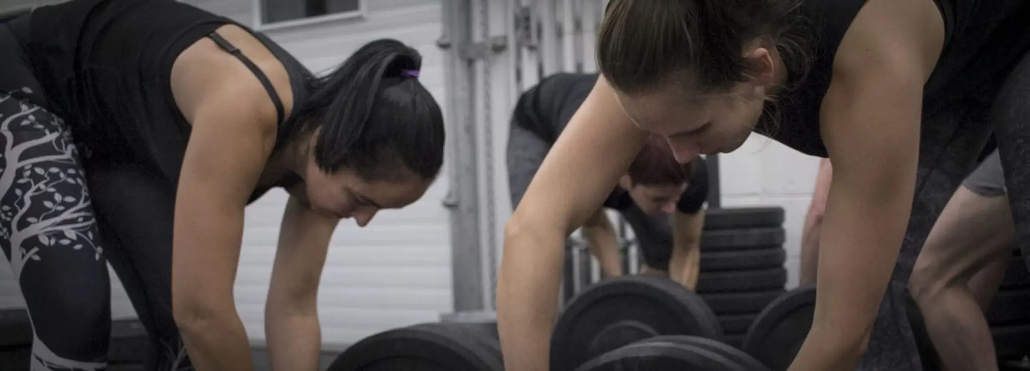 Engrenage - biomcanique gnrale