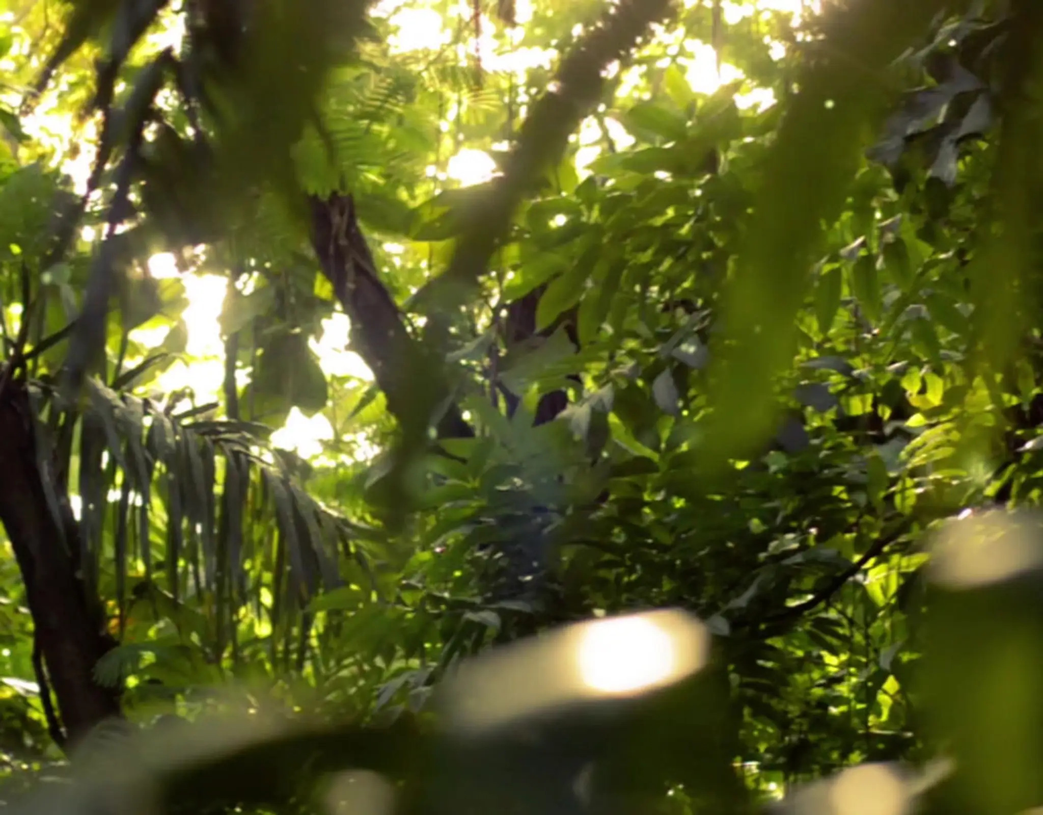 Fithera - Studio de coaching privé