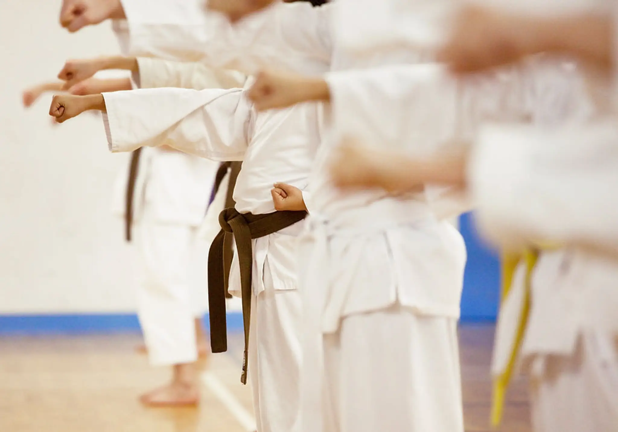 School Of Martial Arts