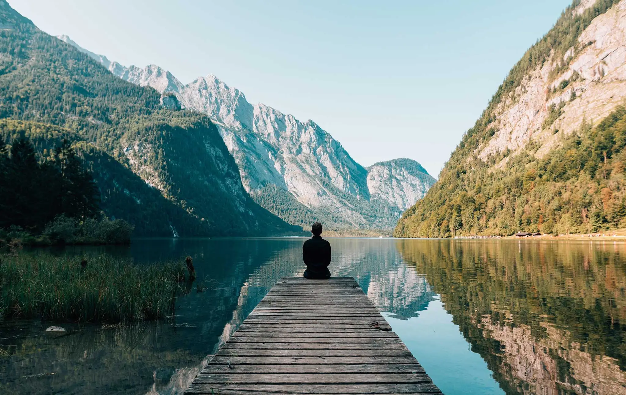 Jay Shetty Life and Success Coach/ Mentor PSYCH-K Stress Management, Shadow Yoga