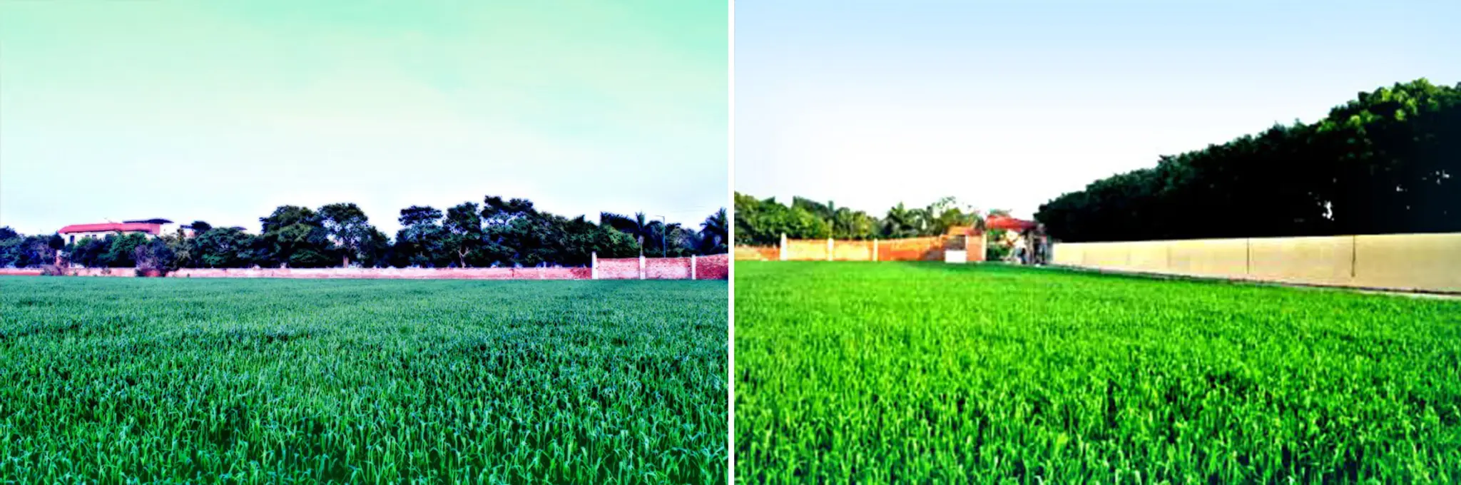 Balaji Naturecure Wellness Center