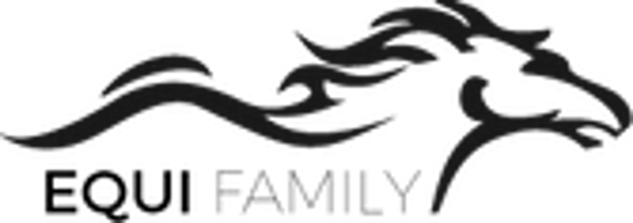 Equifamily -Poney Club - Laser Game à poney- - Stages-Pension