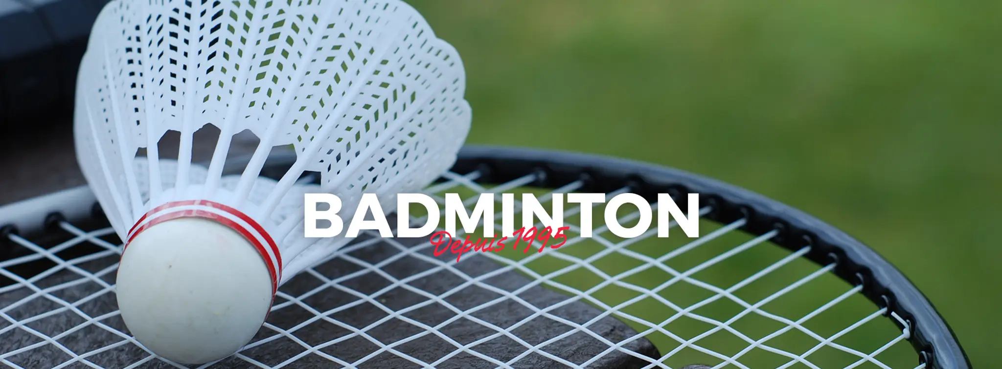 Badminton Lyon Sport Métropole