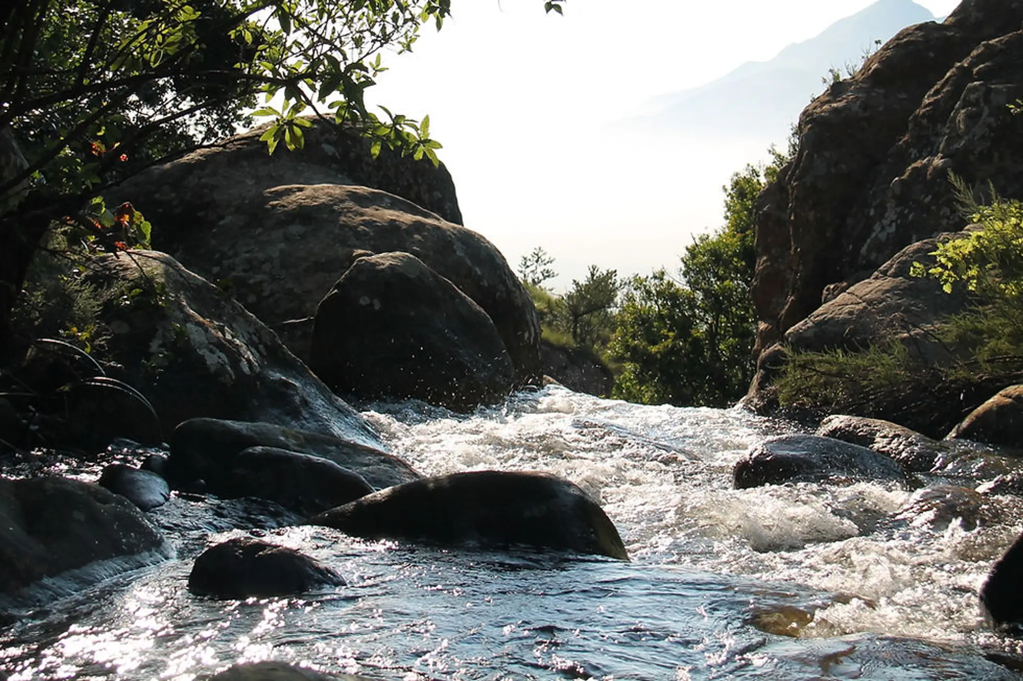 Steve Robinson Fitness Solutions