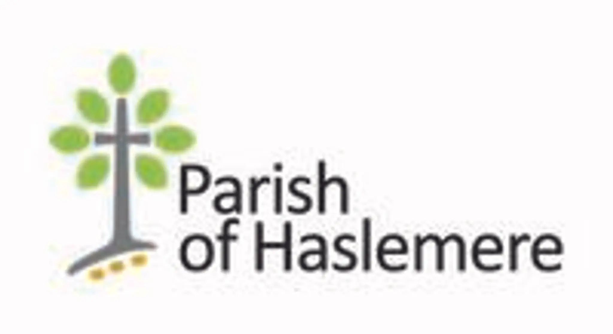 Haslemere Cricket Club