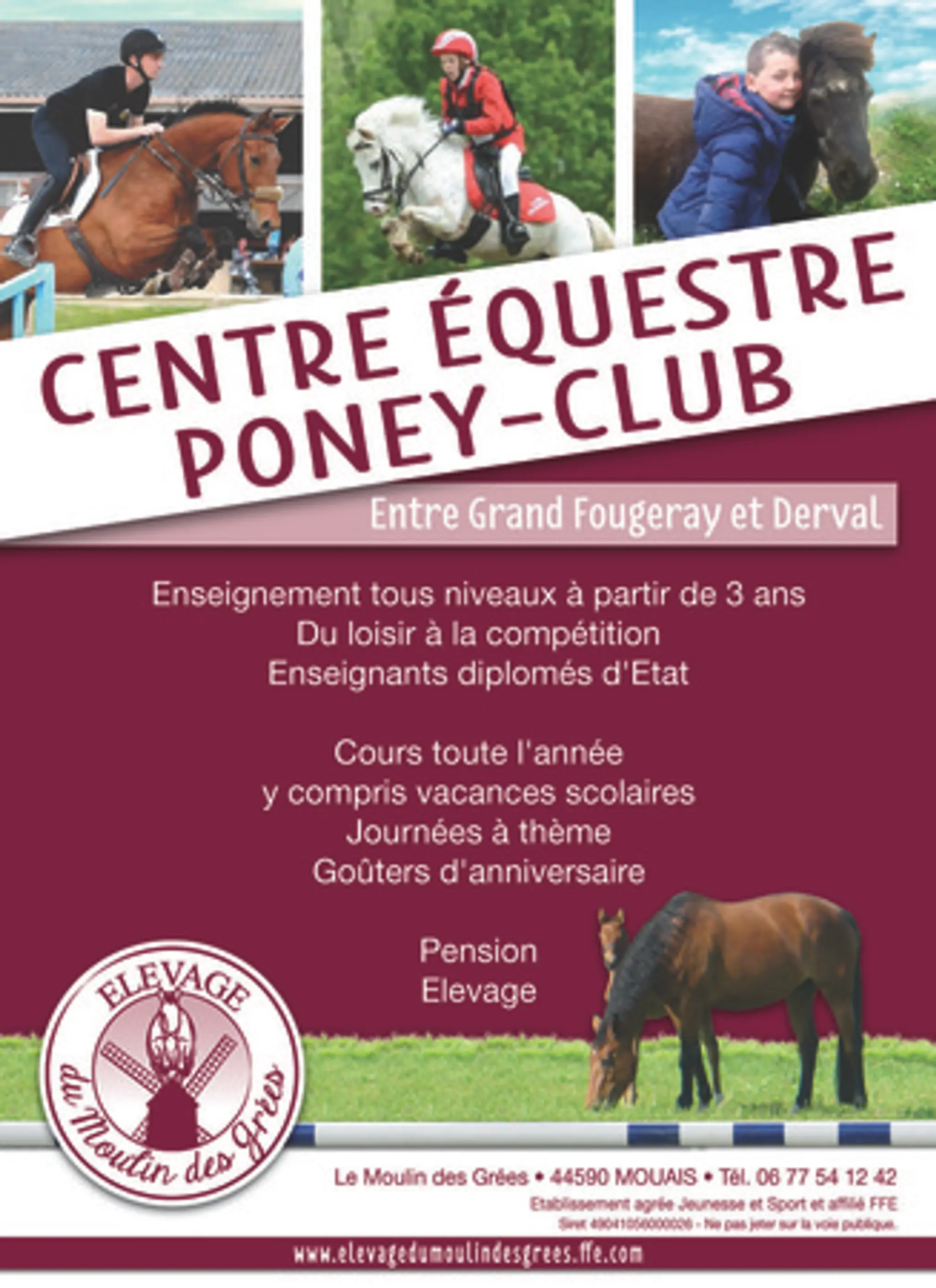 Equestrian Center Elevage Du Moulin Des Grées