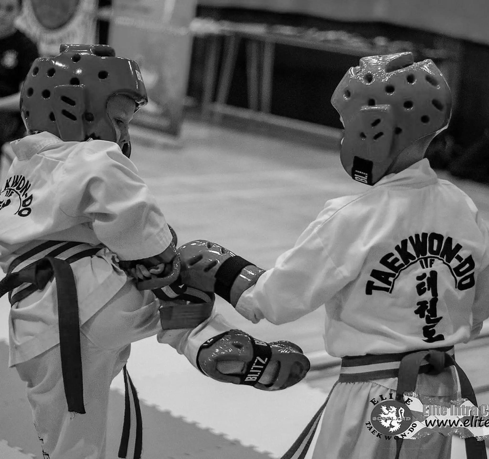 Elite Taekwon Do Schools