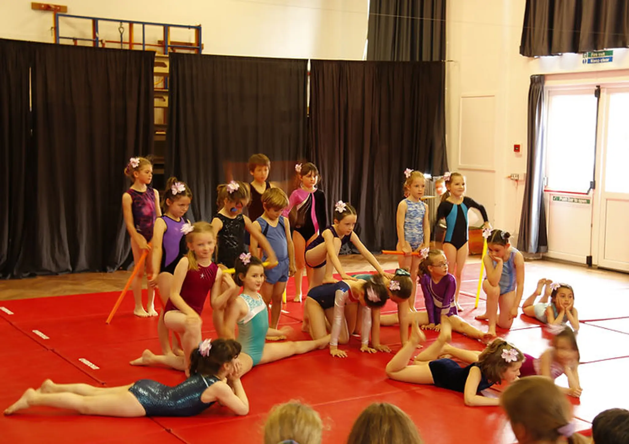 Step It Up Gymnastics Club