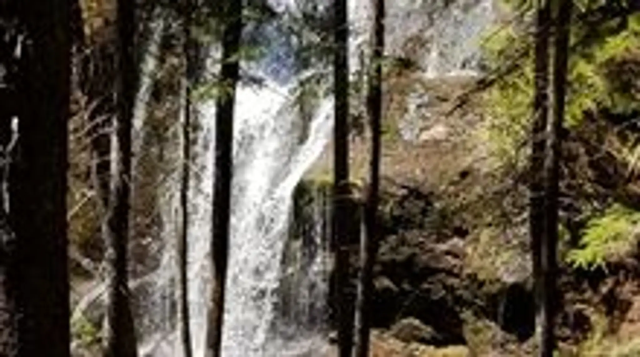 Kennebecasis Squash Club