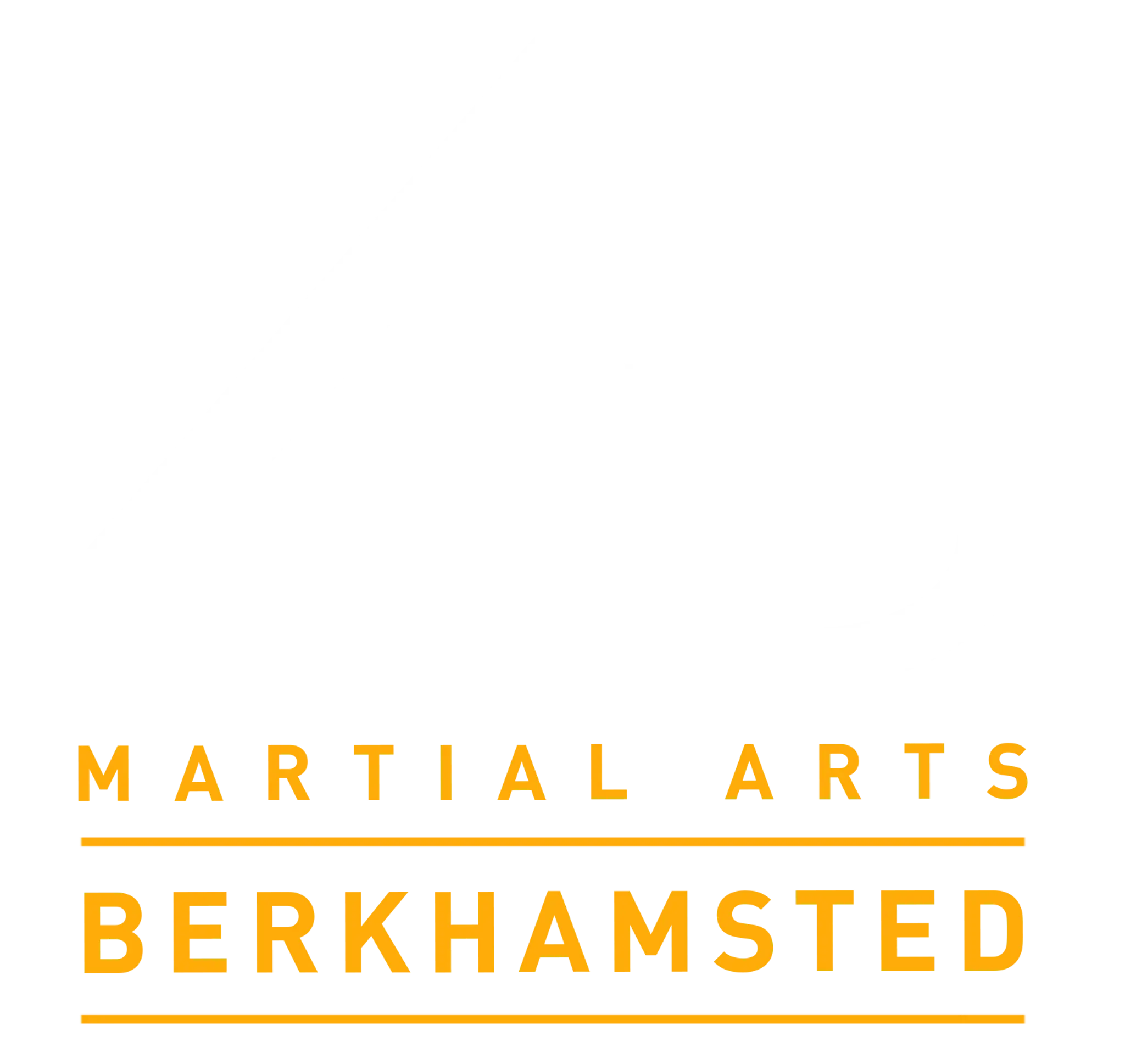4D Martial Arts Berkhamsted
