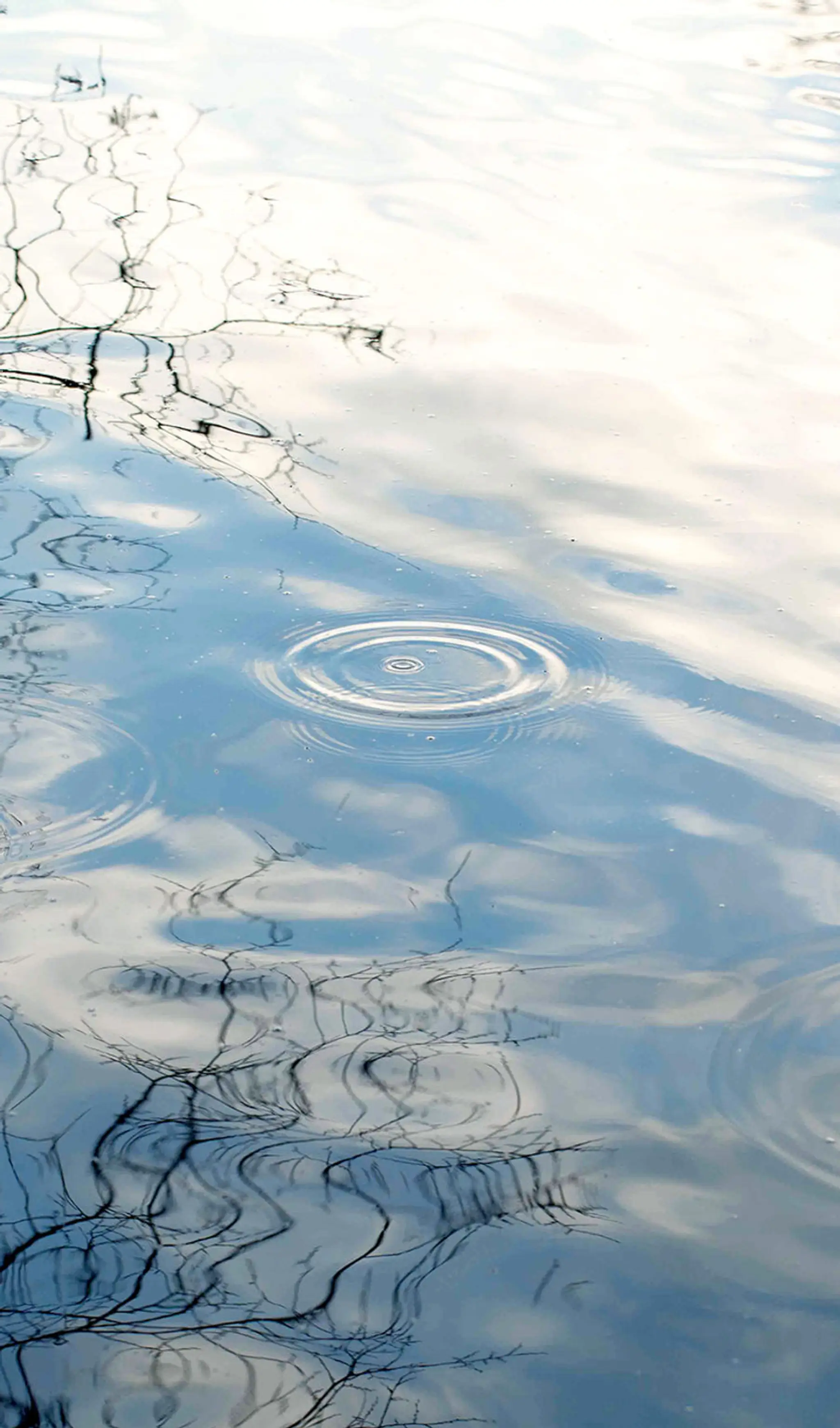 Yoga With Em - Hampstead