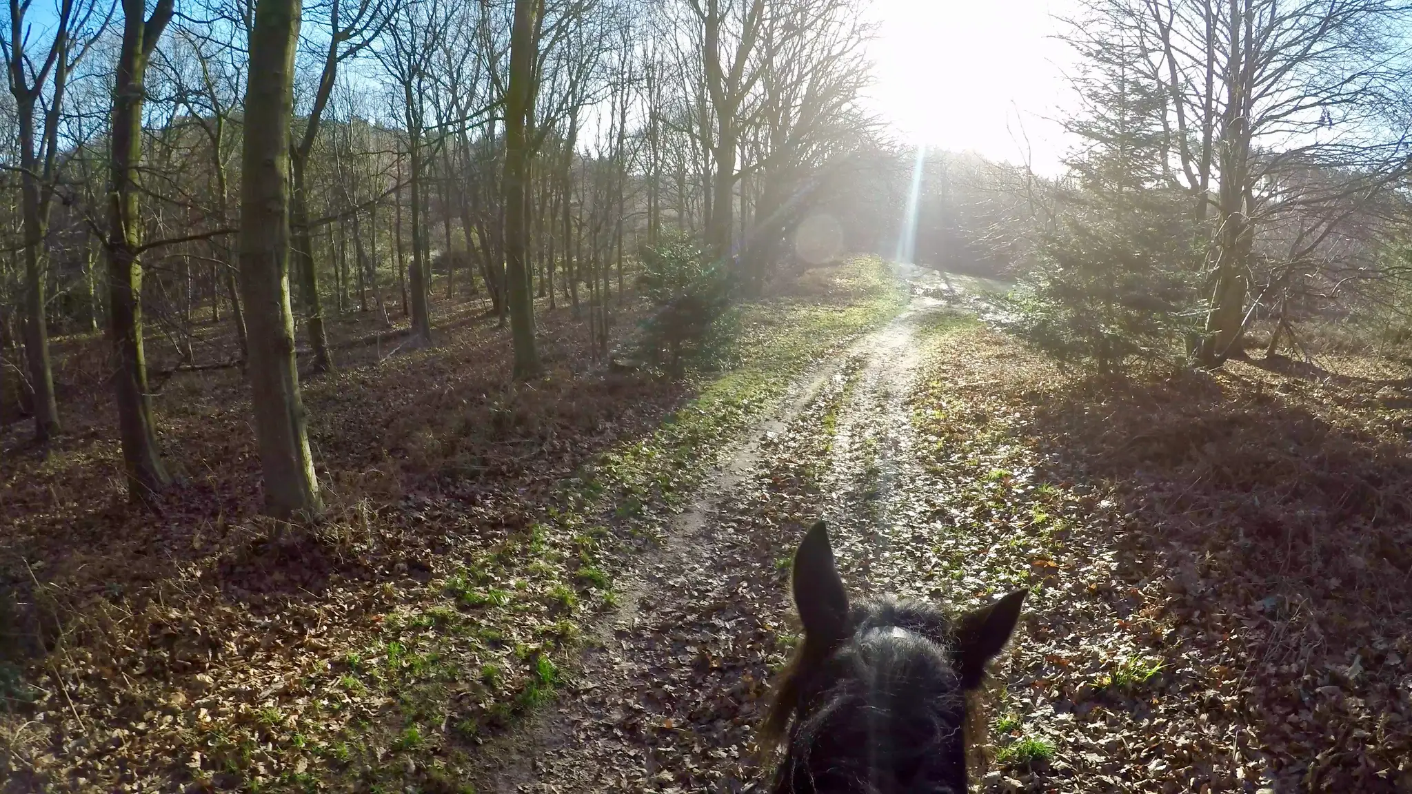 Squirrel Wood Equestrian Centre