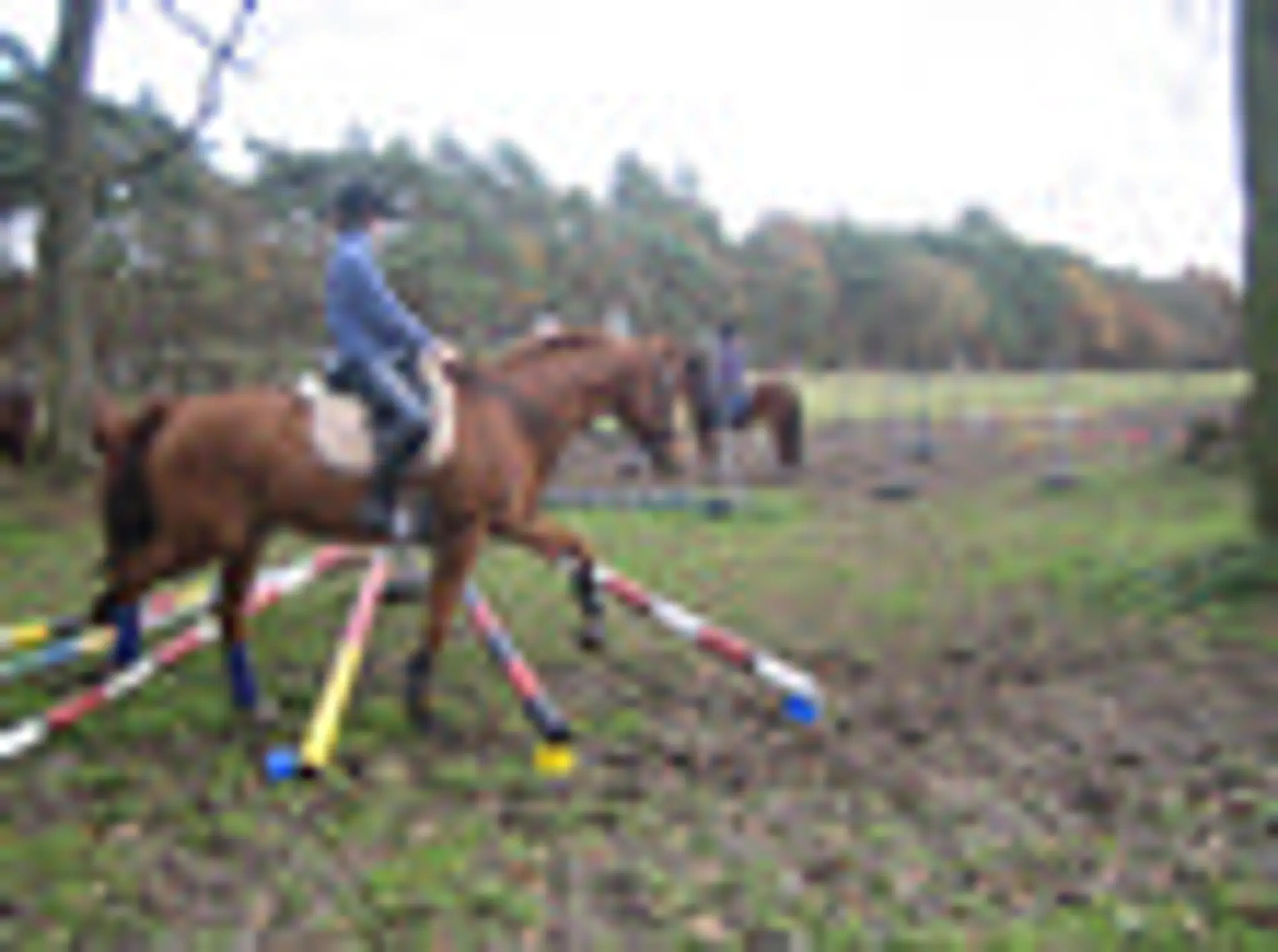 Reiterhof Michael
