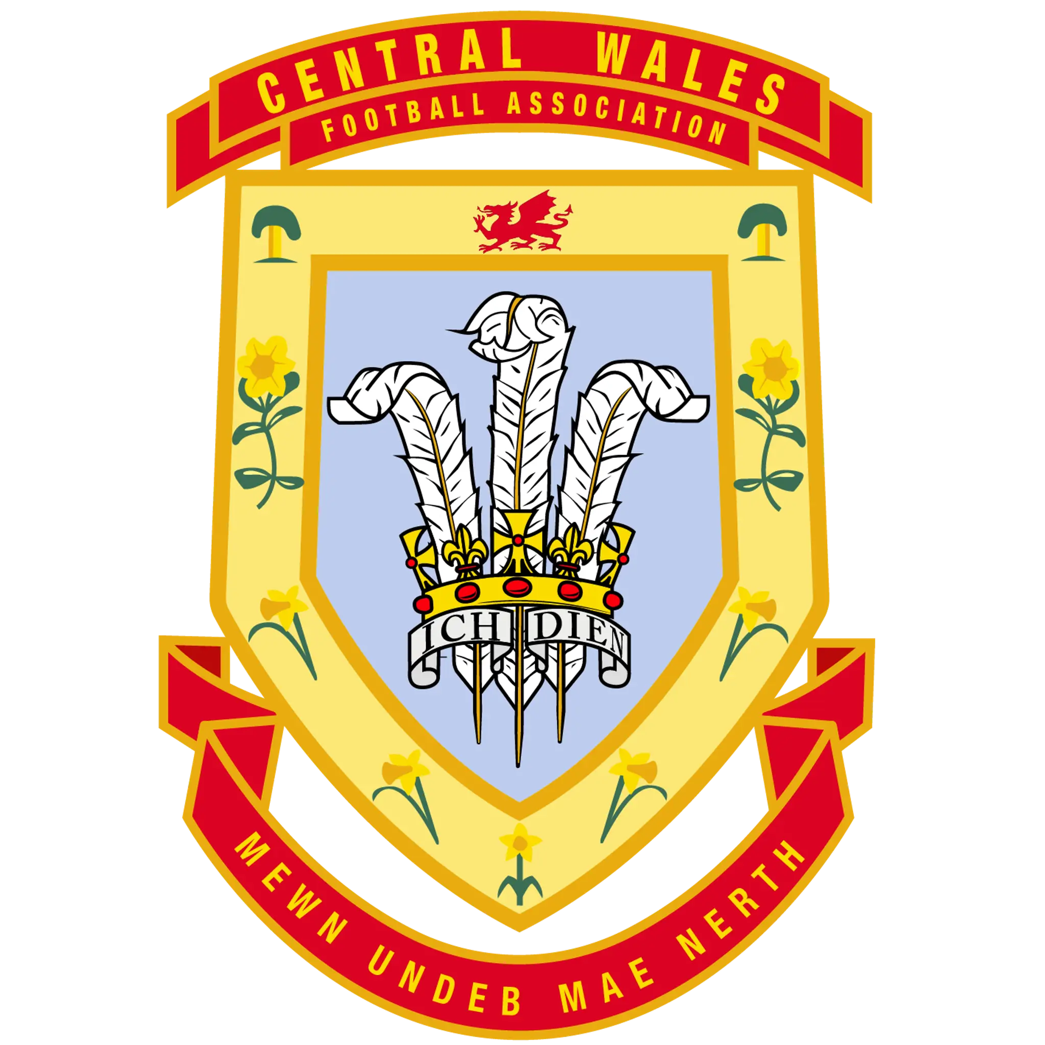Central Wales Football Association
