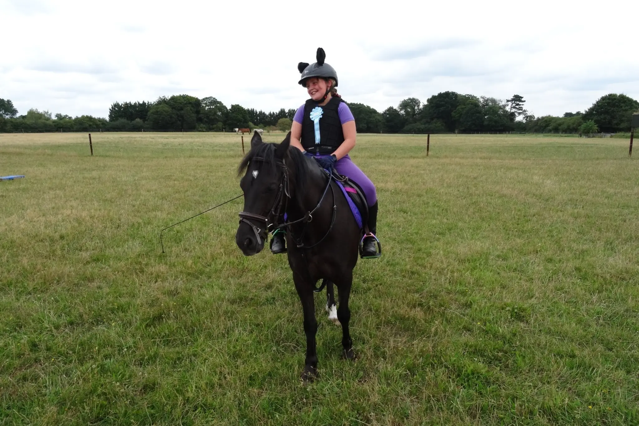 Sacha Hamilton Equestrian