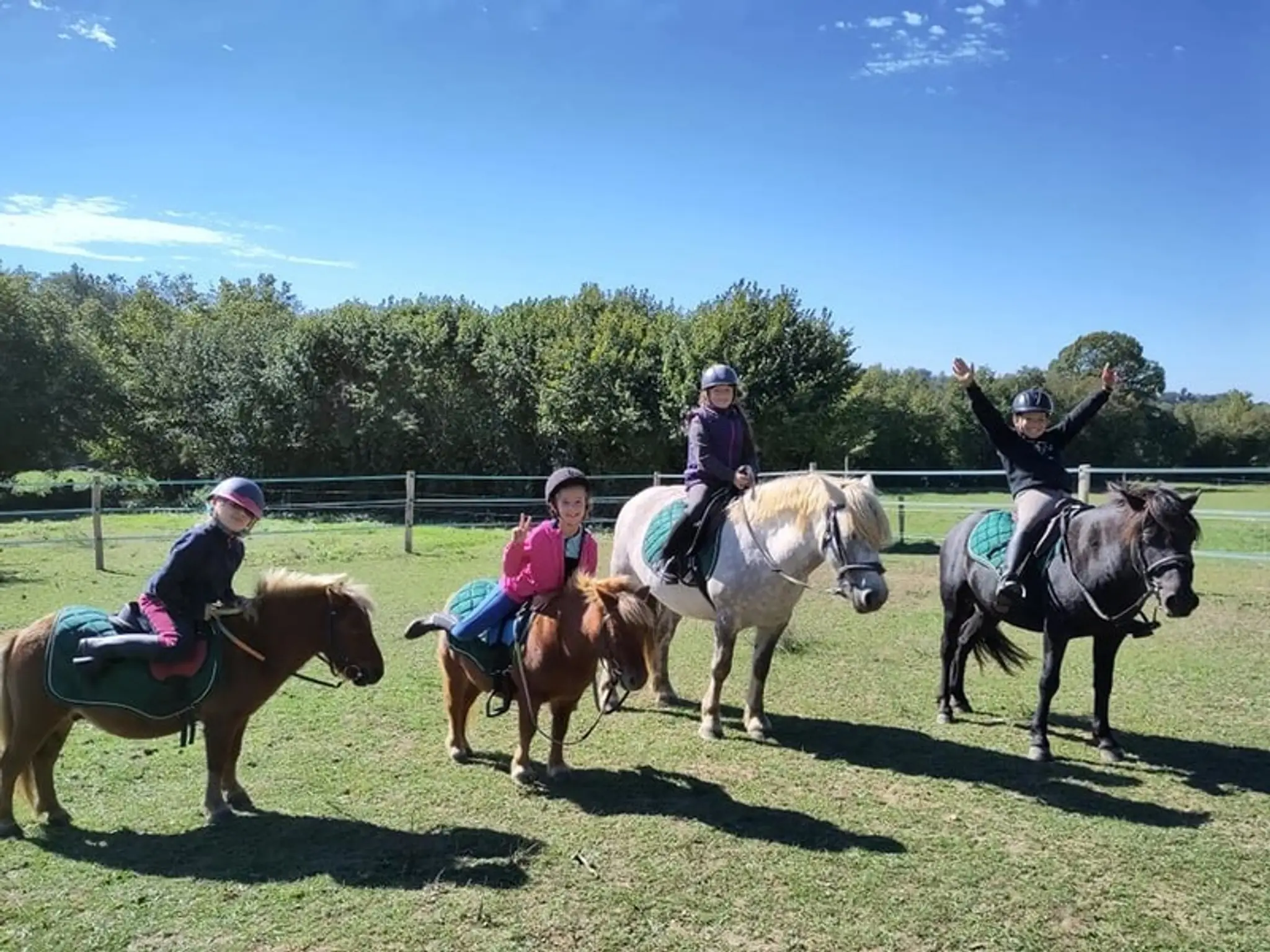 Equi-Free In Berry