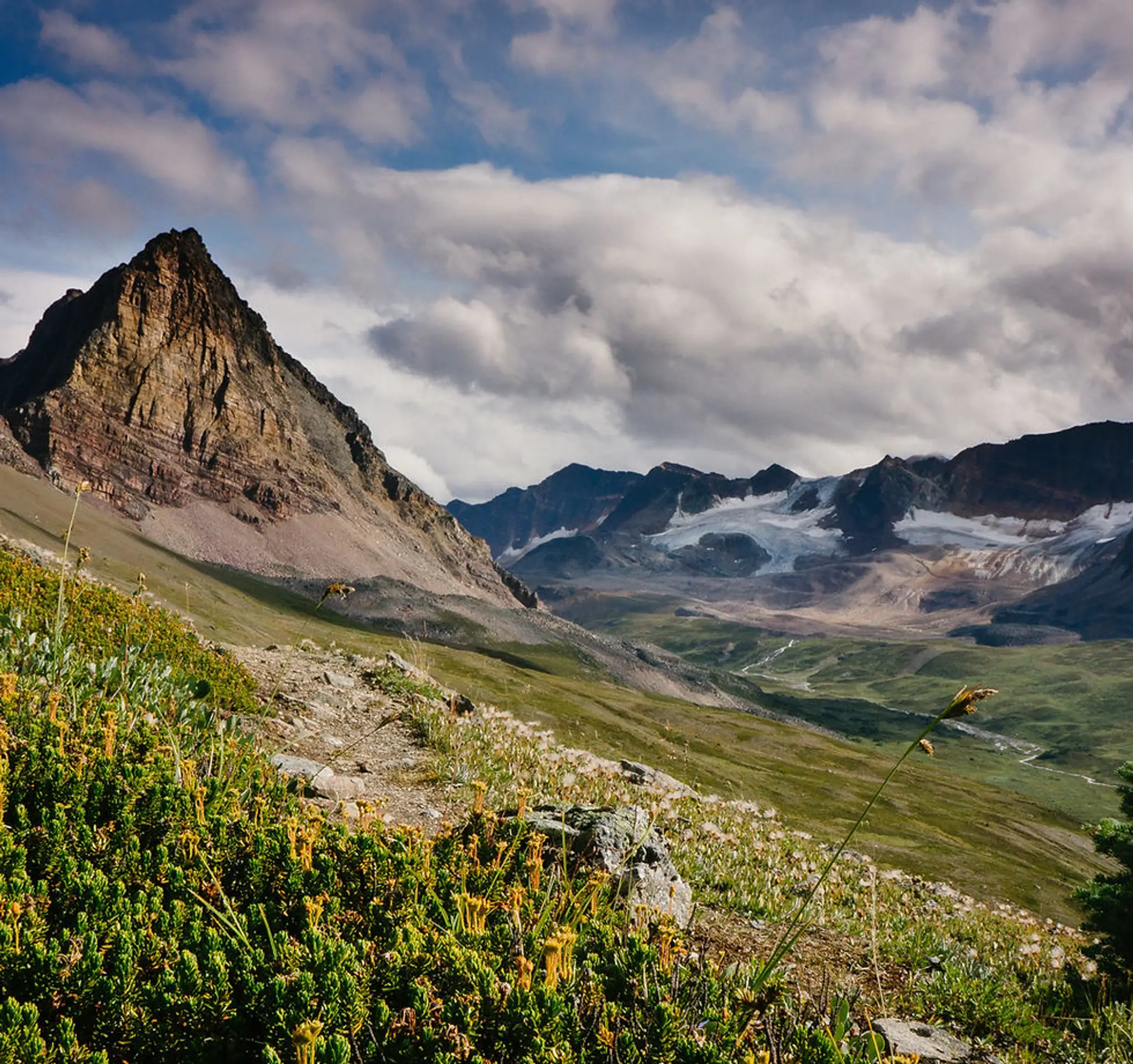 Cumberland Physio & Yoga