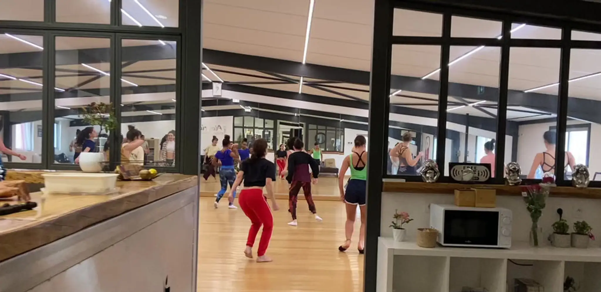 Alegria Dance Company