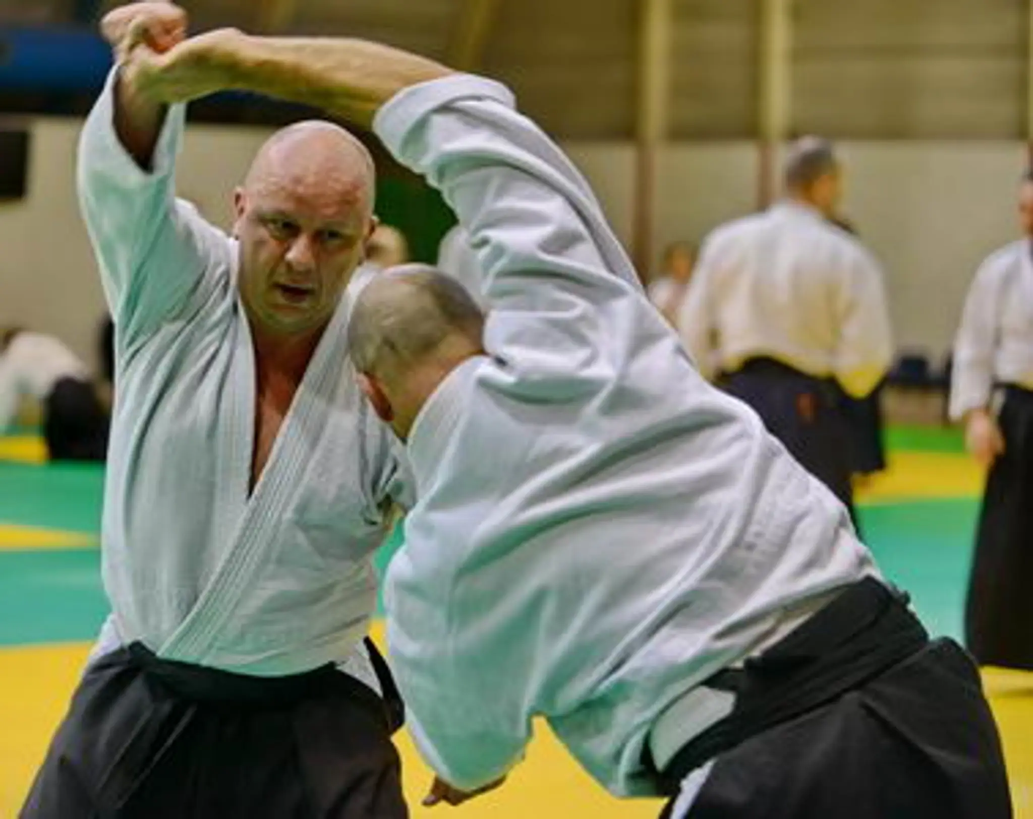 Aïkido-01 dojos de l'Ain (01)