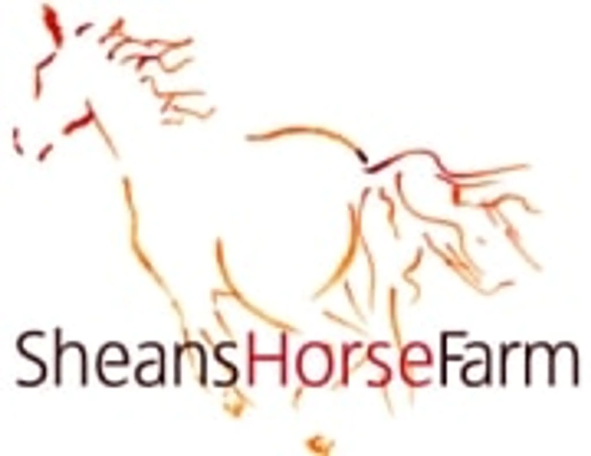 Sheans Horse Farm