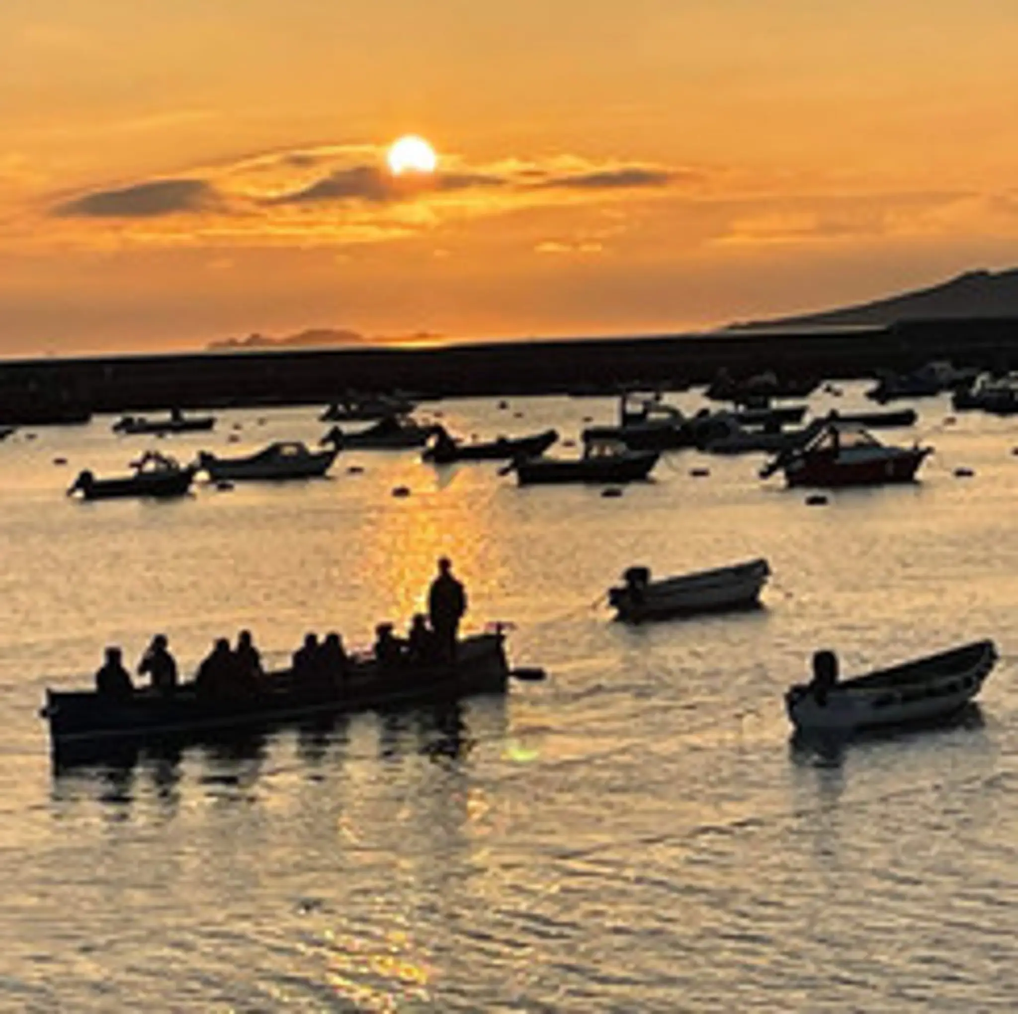 Porlock Weir Gig Club