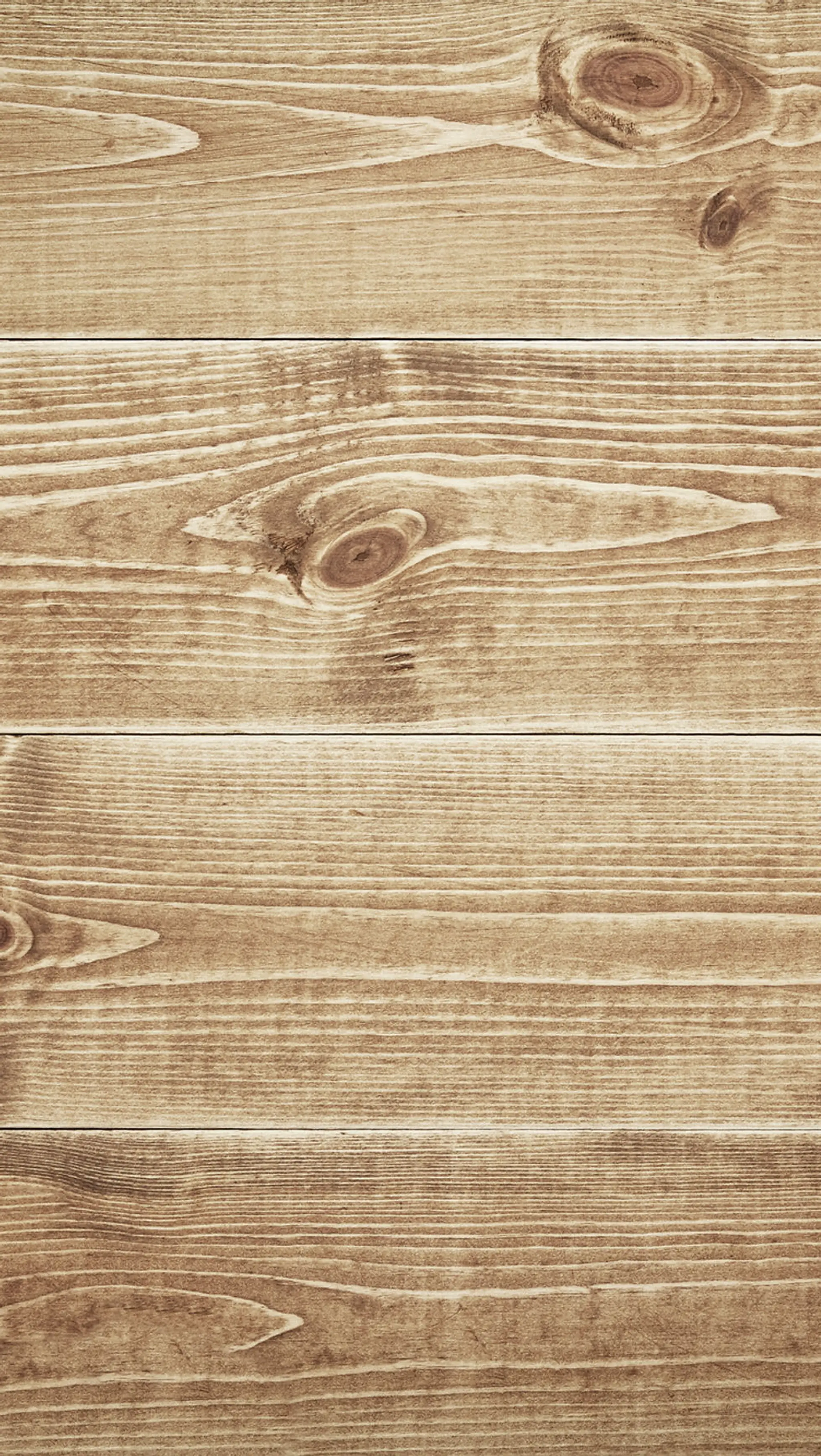 Barrier Mountain Outfitters