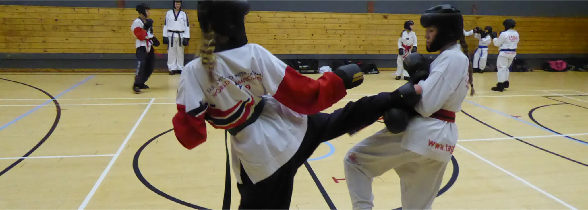 The Mark Farnham Schools of Tae Kwon-Do