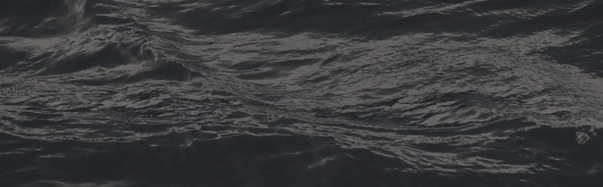 BLUE WORLD ADVENTURE