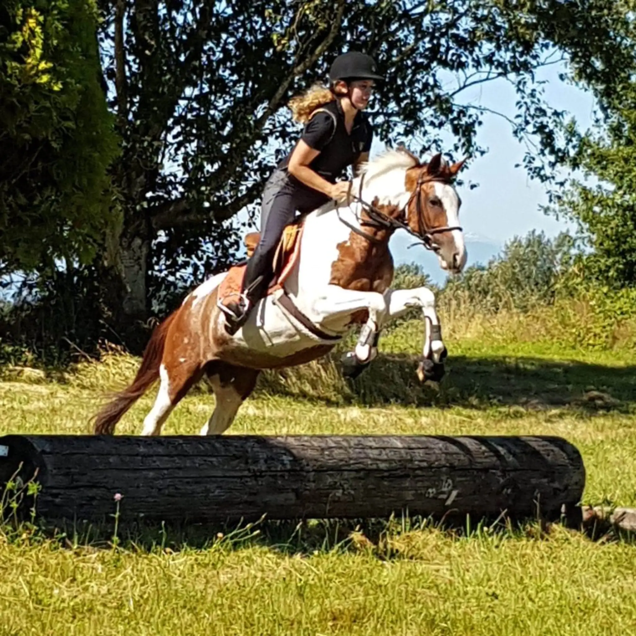 Sacred Equestrians