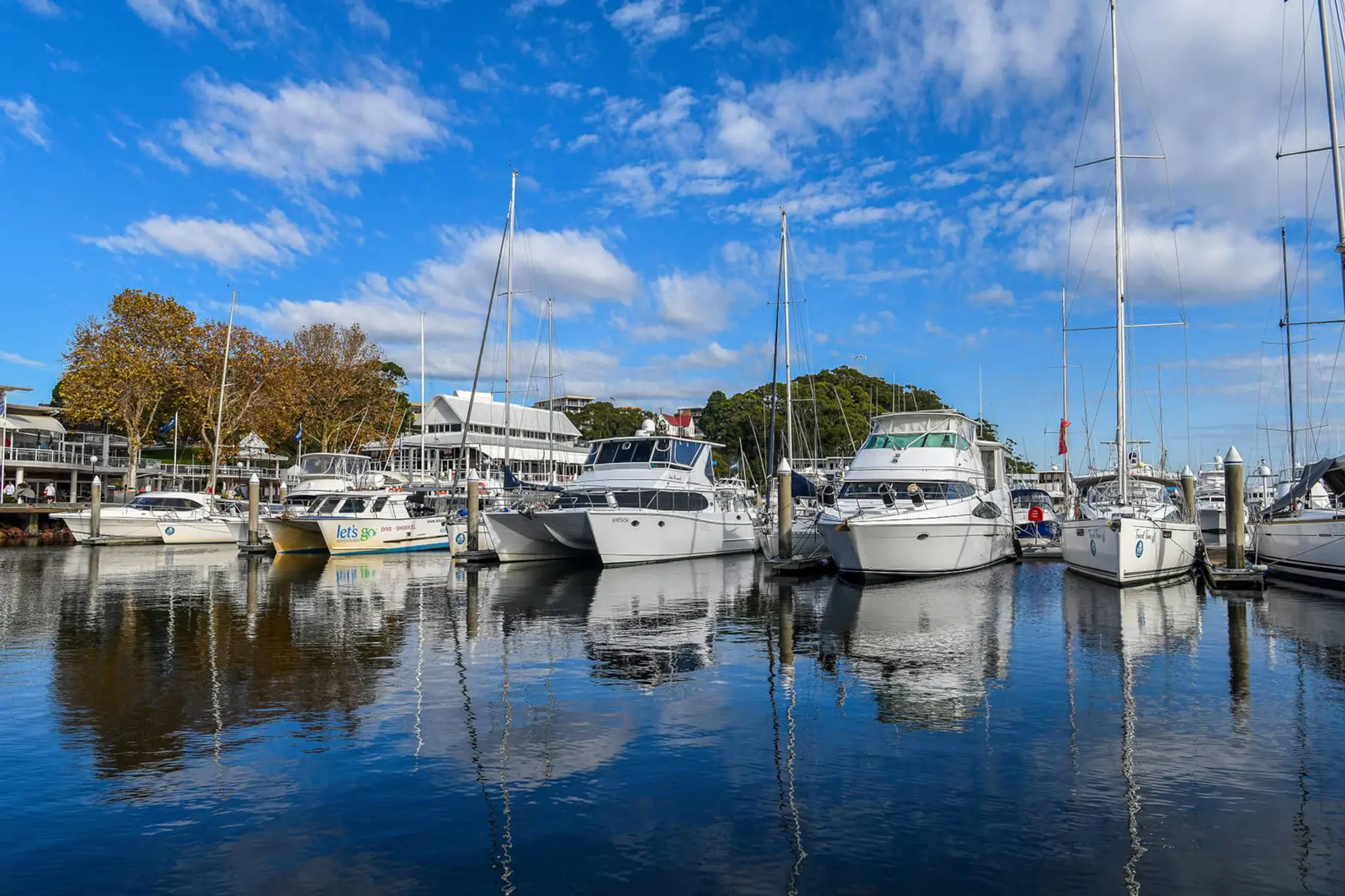 d'Albora Marinas Rushcutters Bay