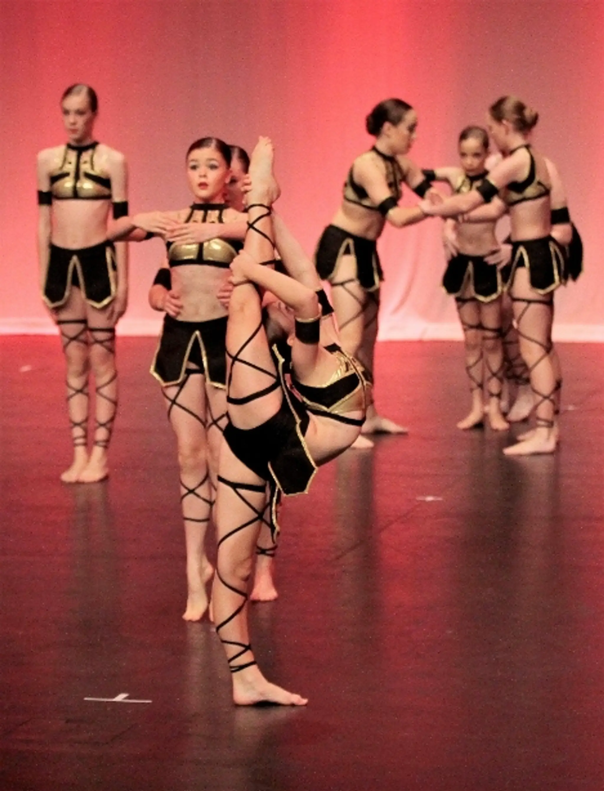 Sunshine Coast Conservatory of Dance