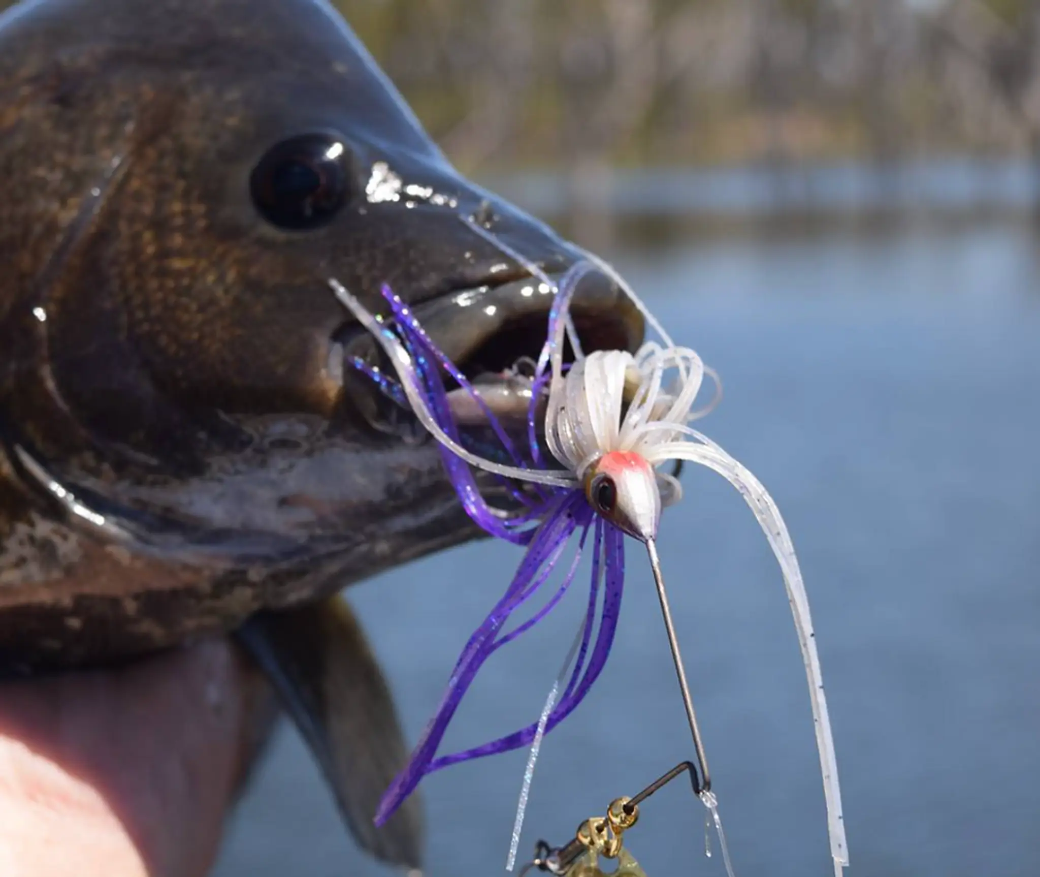 Mackay Fly & Sportfishing