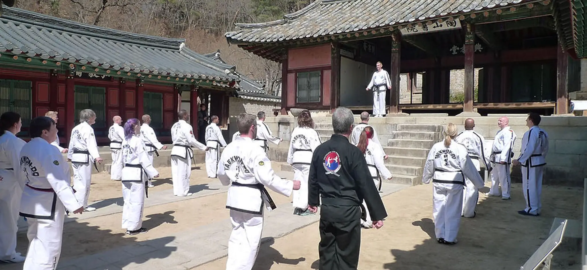 Academy Of Taekwon-Do