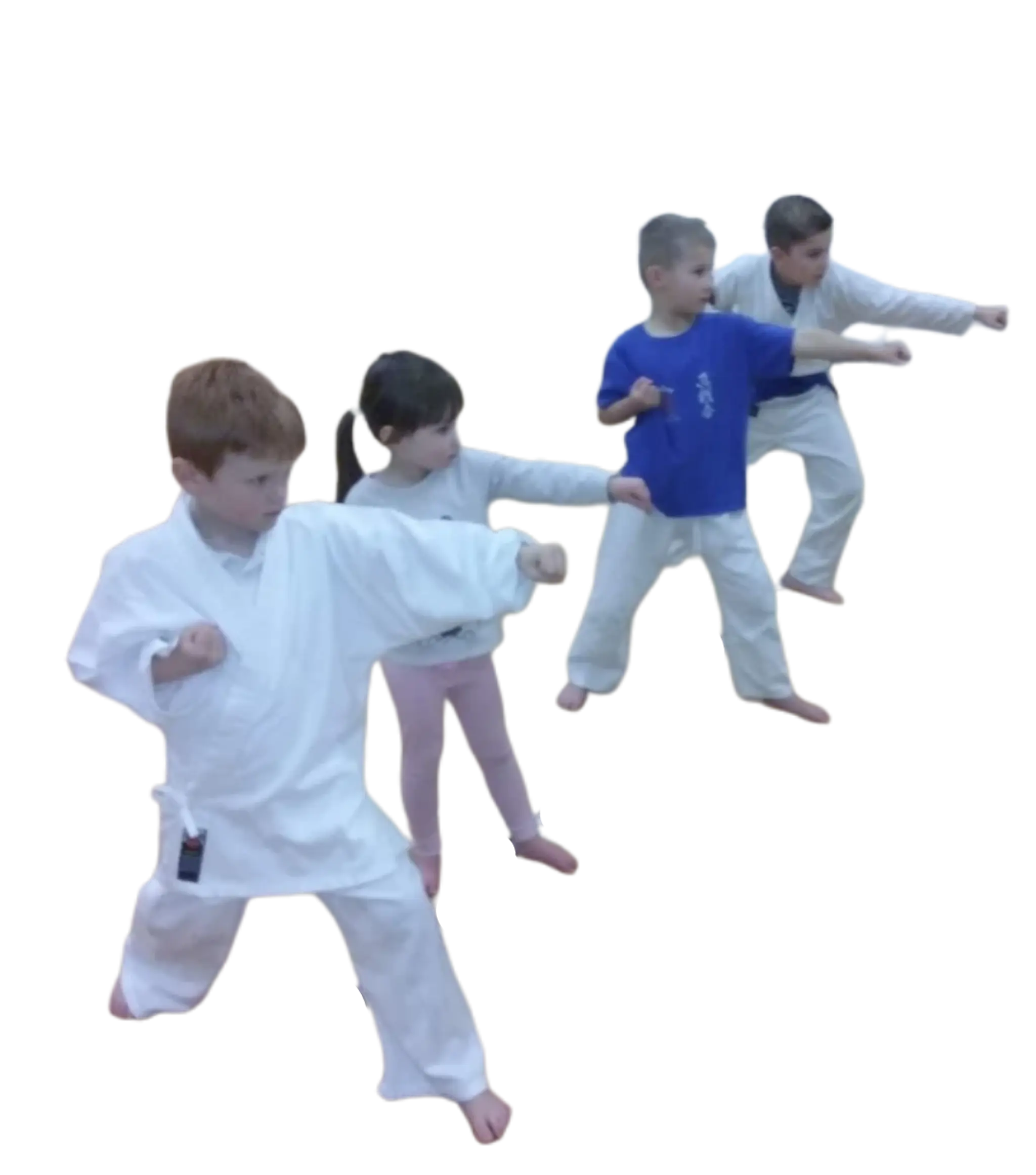 Full Contact Karate Concepts - Shinsenkai