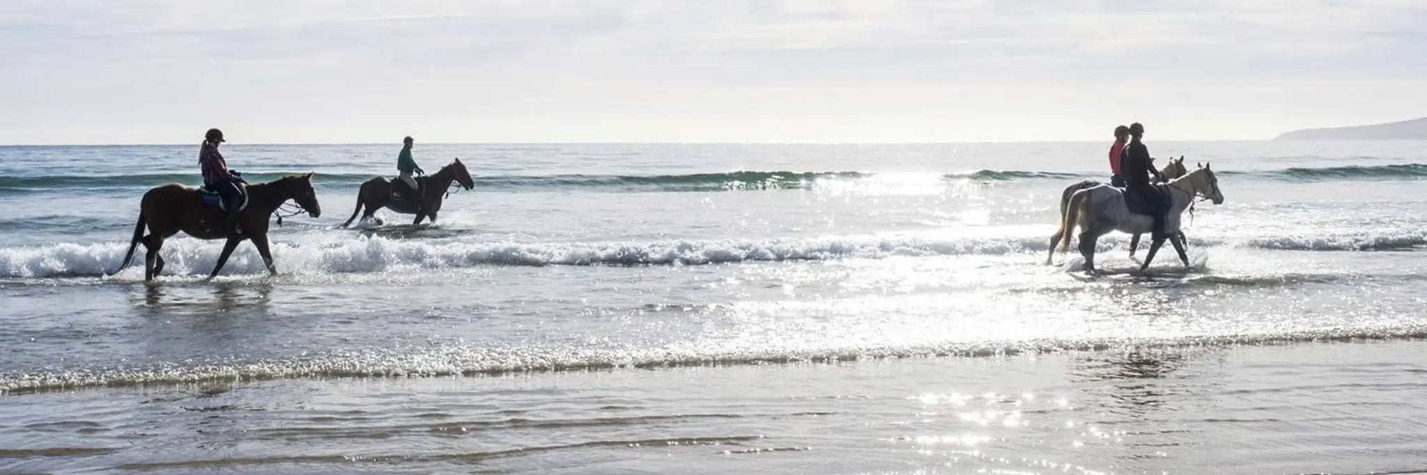 Bakers Beach Horse yards