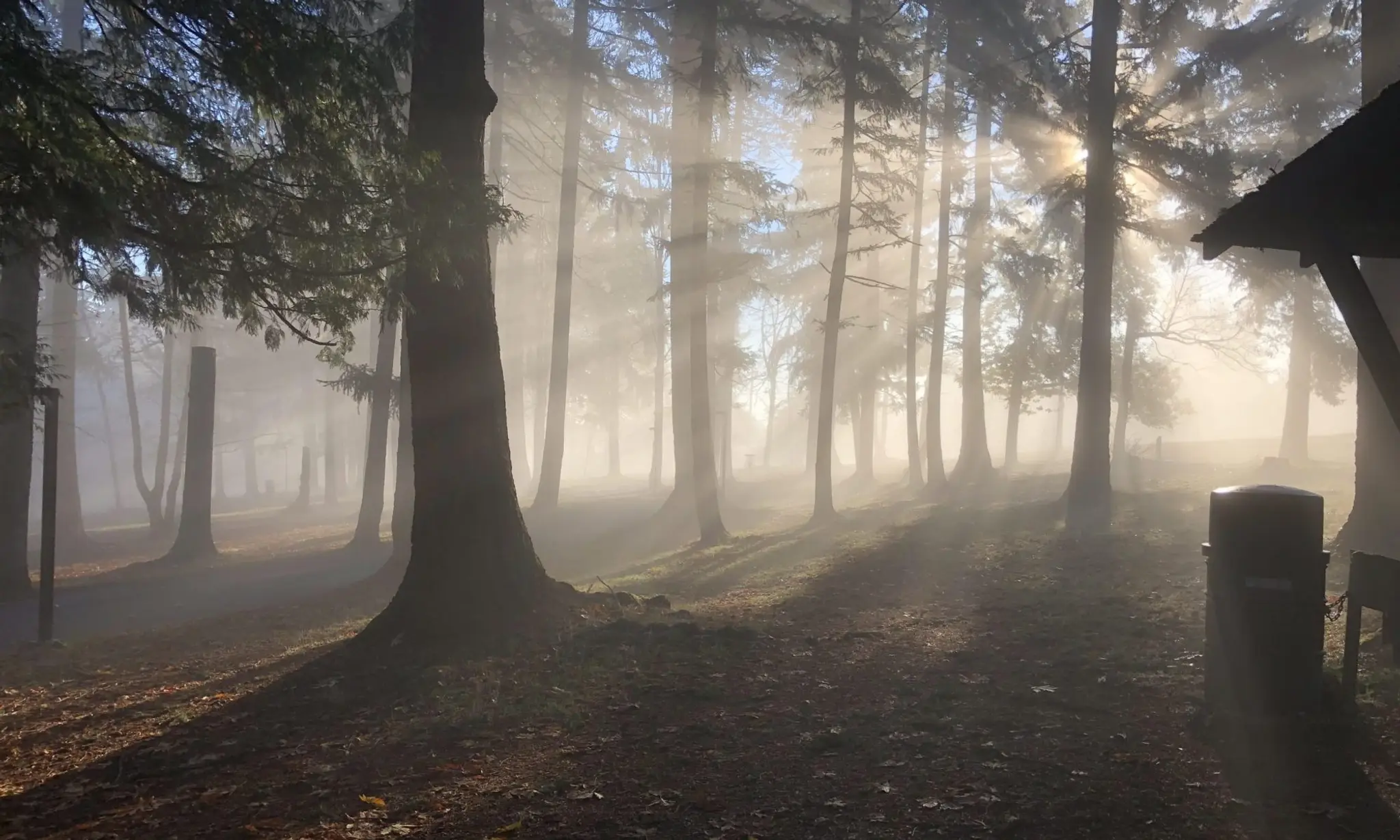 Doumont Disc Golf Course