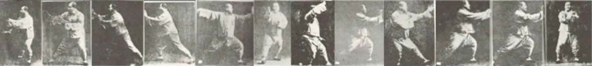 Matthieu Bréjoin, Taï Chi Chuan Qi Gong, Soins