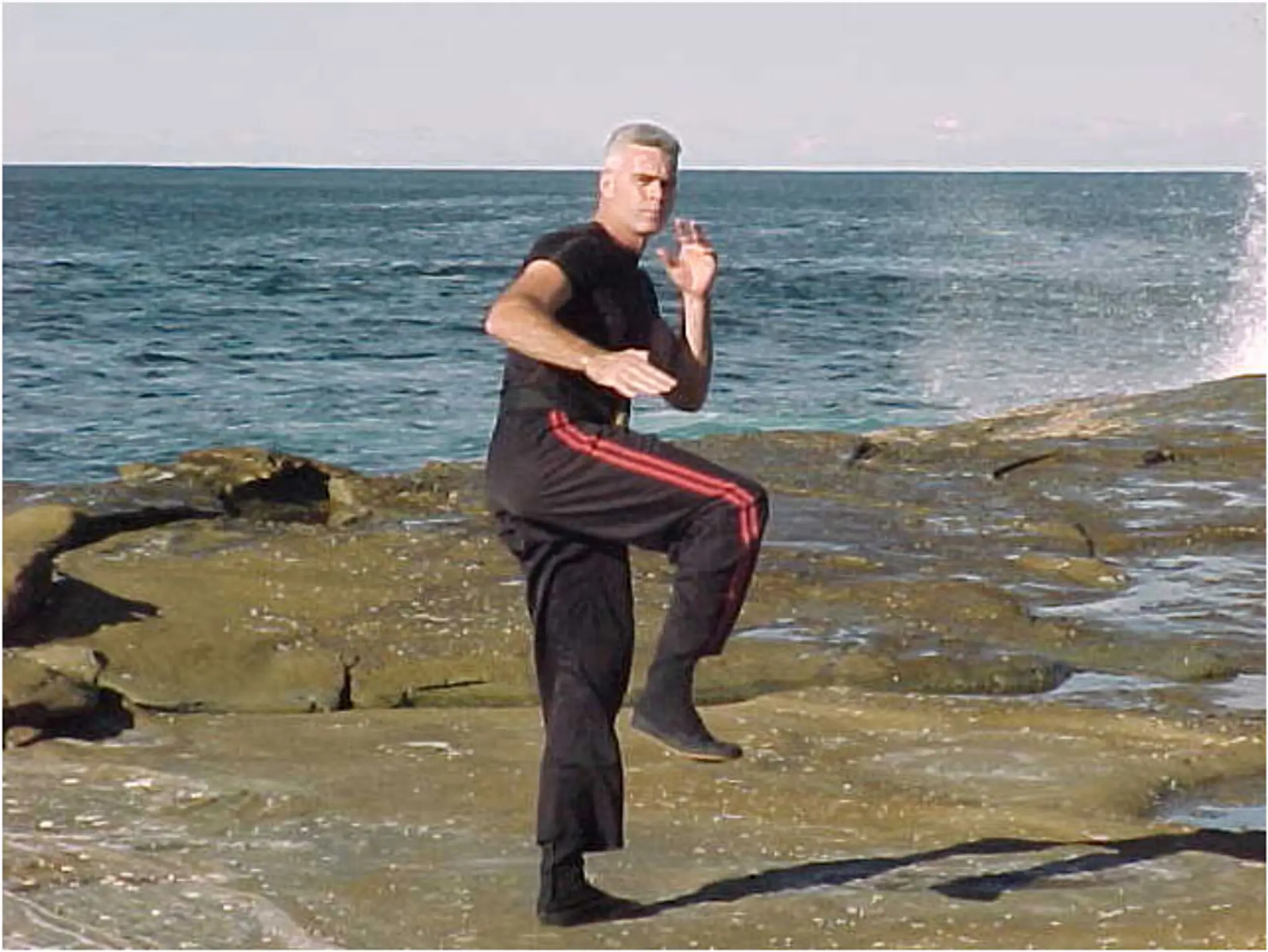 Kempo Chi Martial Arts