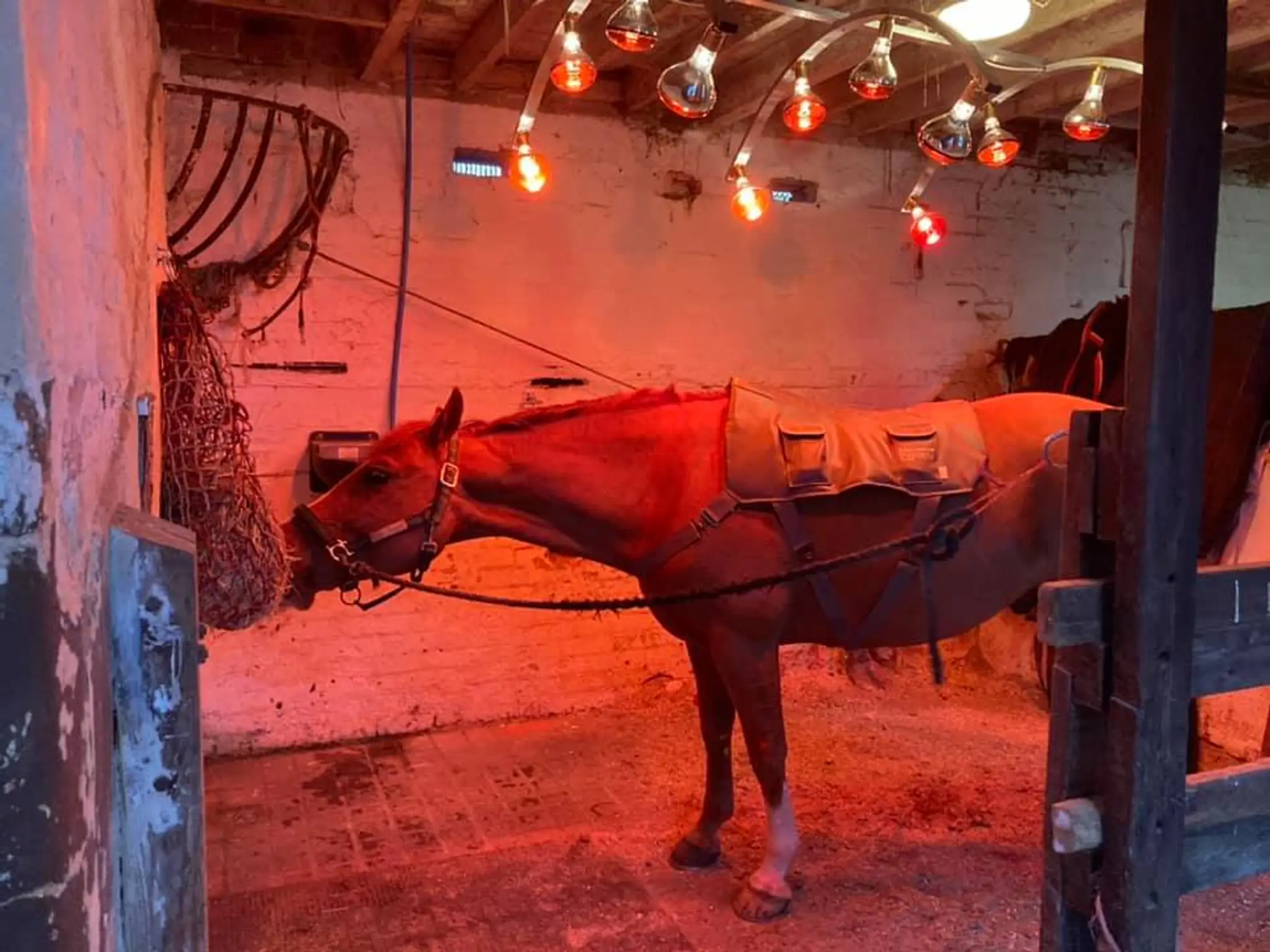 Bournefield Animal Rehabilitation Centre