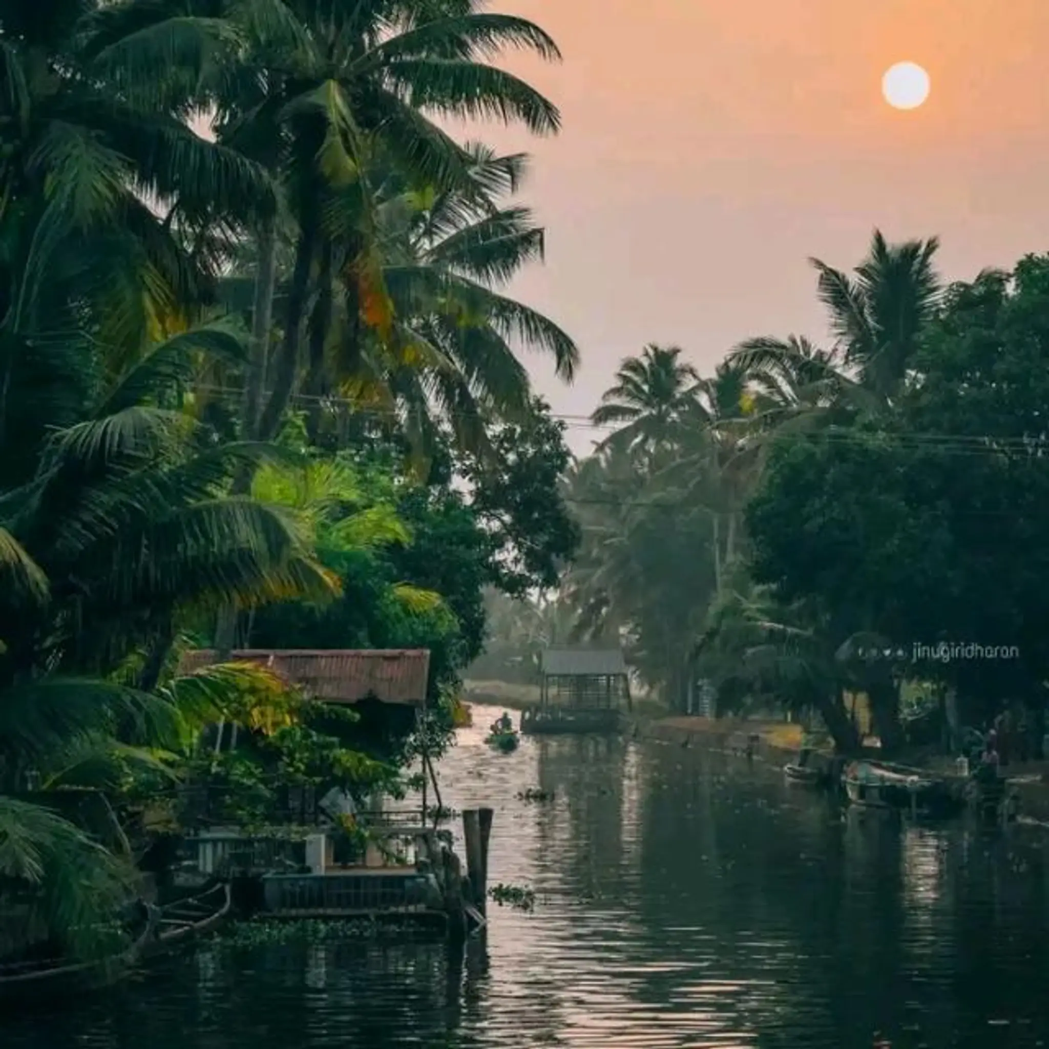 Kuttanad Backwater Cruise