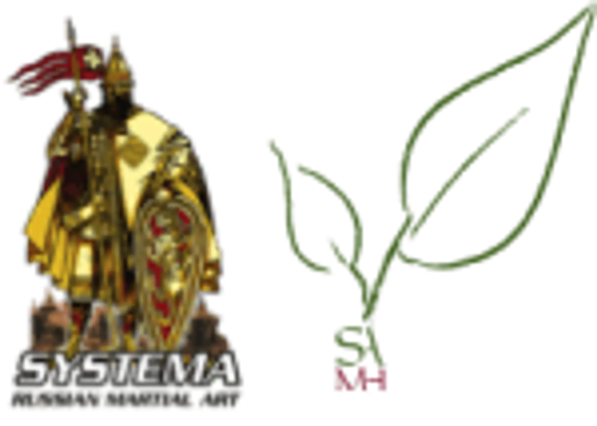 Systema Academy Matt Hill