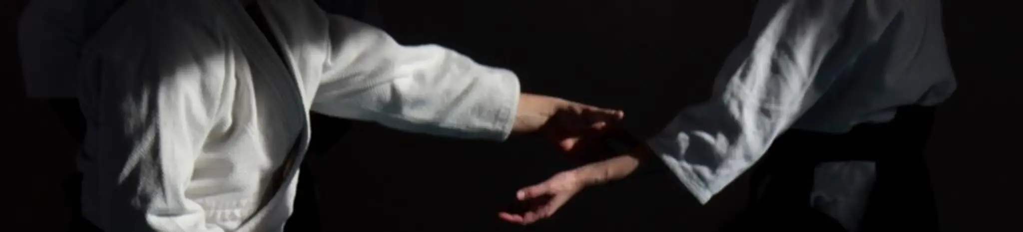 Aïkidojo - L'enveloppe du geste