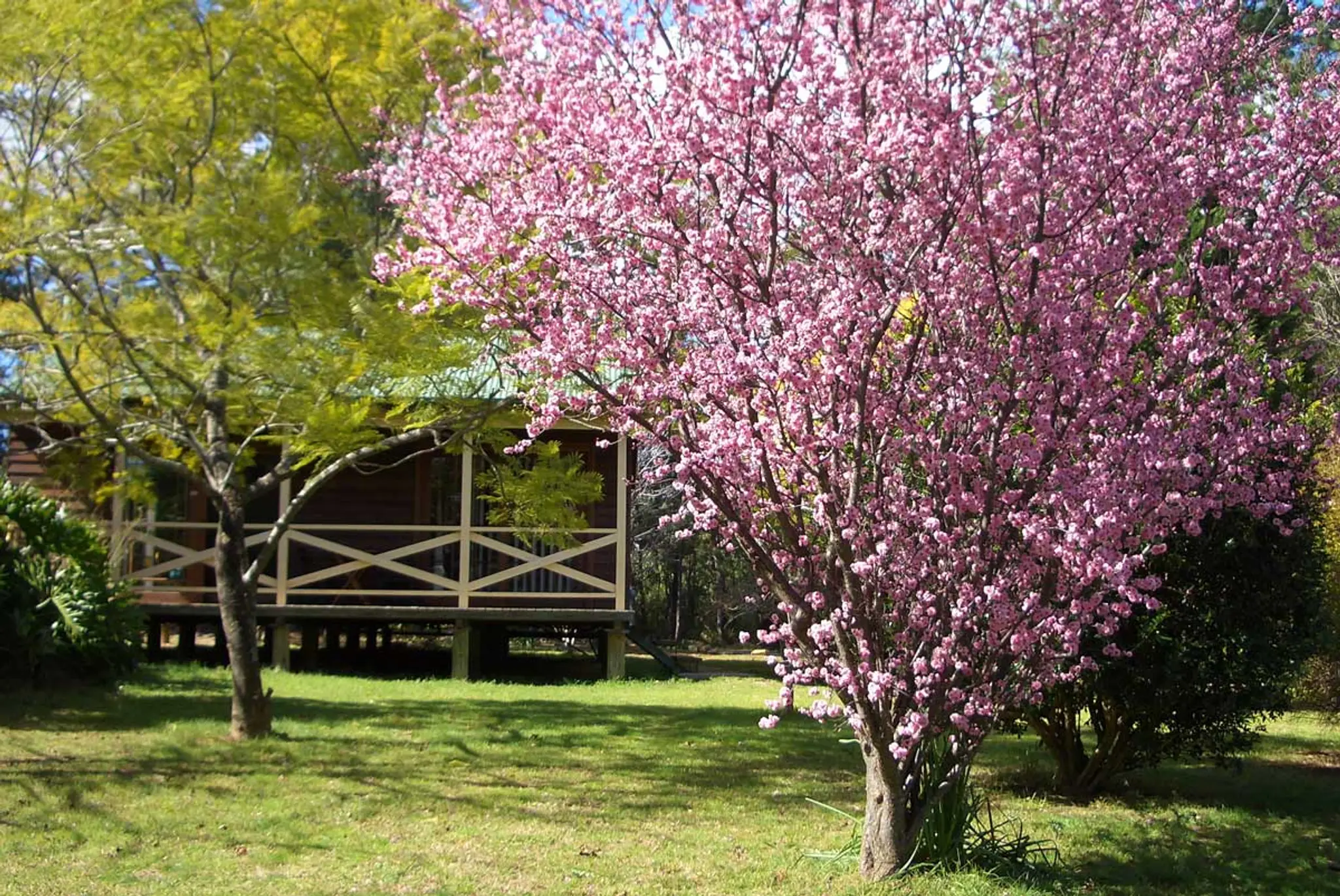 Madison's Mountain Retreat