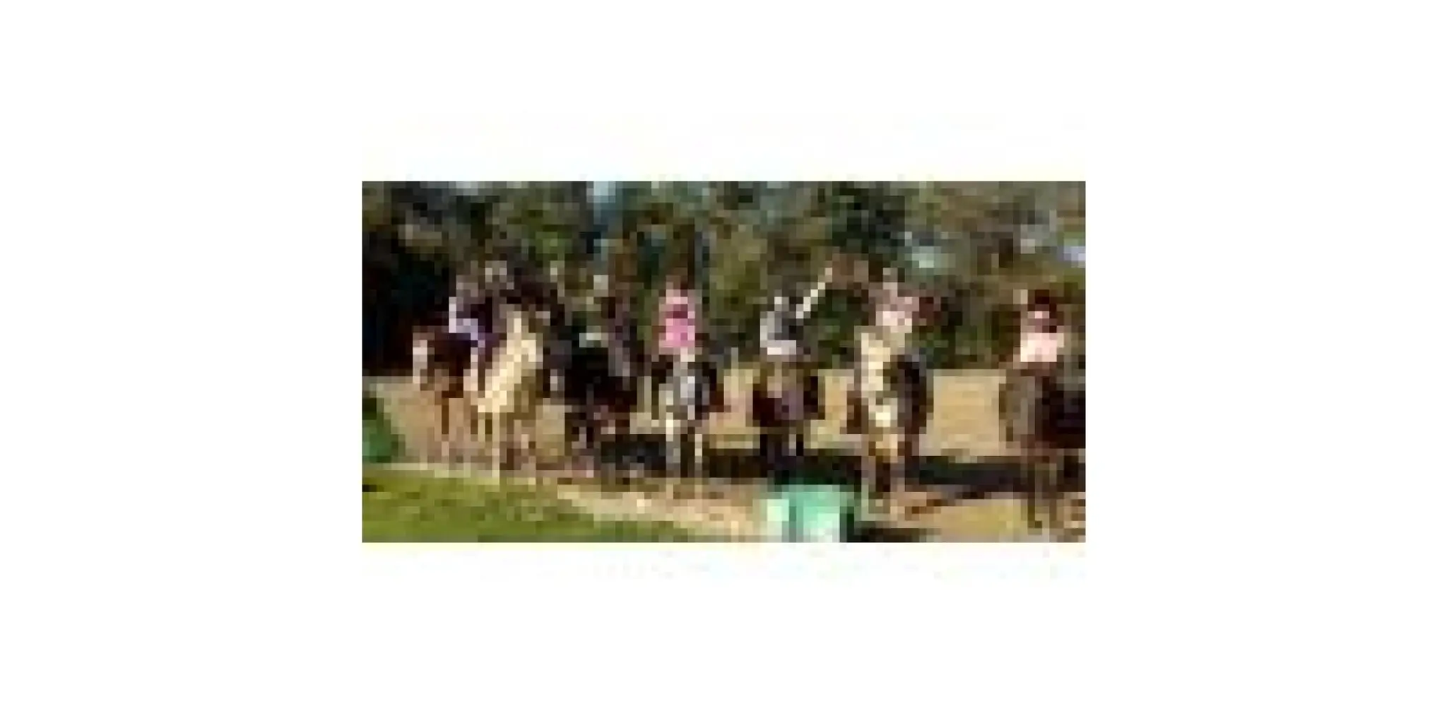 Equestrian Center De Mi- Forêt