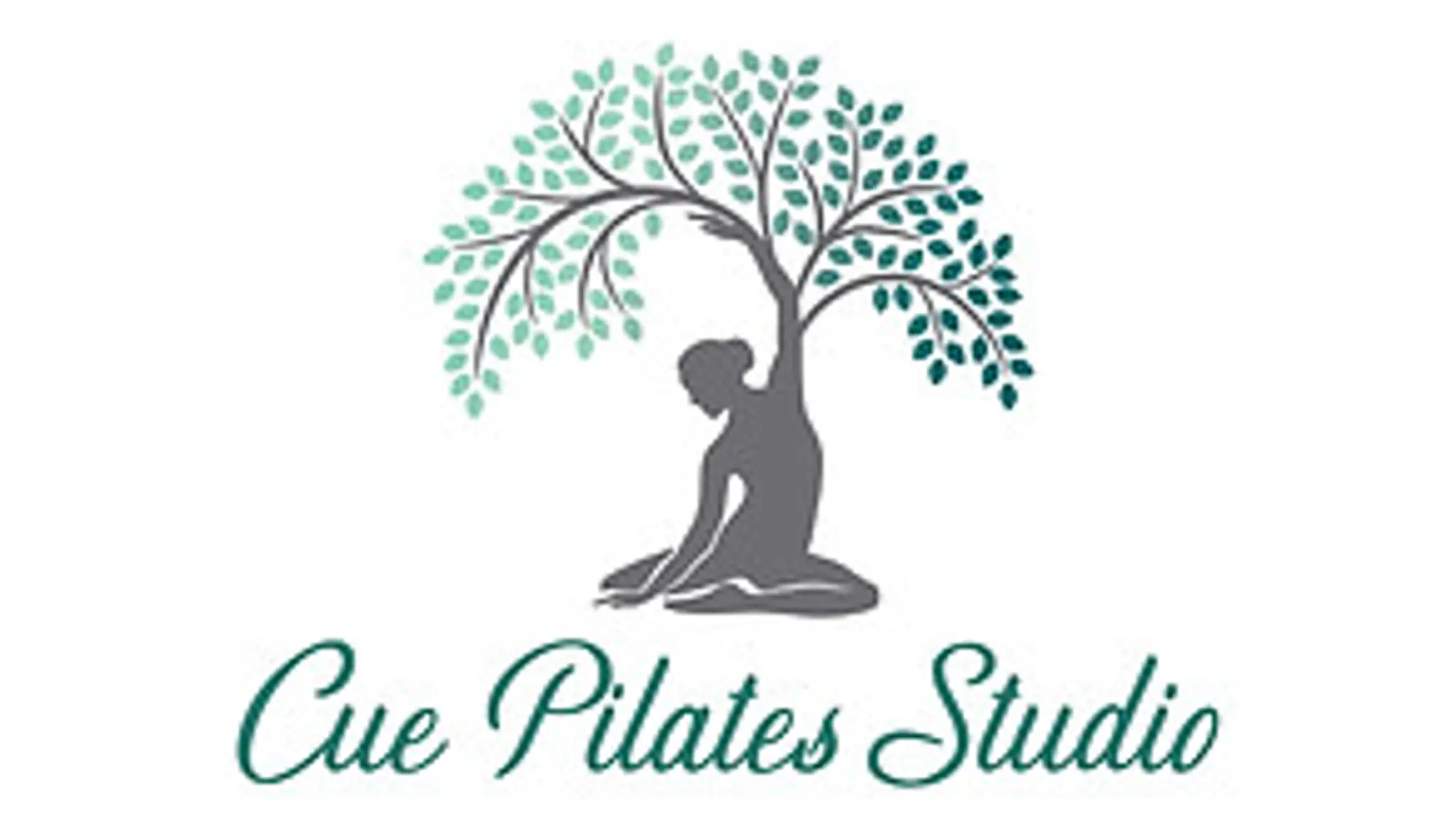 Cue Pilates Studio